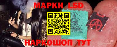 индика Жуковский