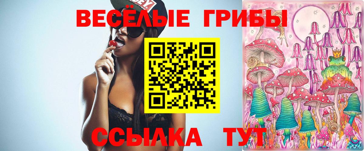 Малоярославец  Галлюциногенные грибы Cubensis  купить закладку  Вход с VPN 